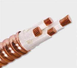 China 0.6/1kv Bttw/Yttw, Fire Resistant Cable Multi Cores Inorganic Mineral Insulated Corrugated Copper/LSZH on sale