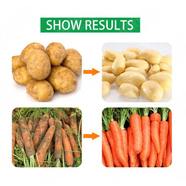 High Efficiency Sterilization And Vegetable Washing Machine