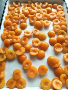 China China Canned Food Organic Canned Peeled Apricot Halves In Syrup on sale