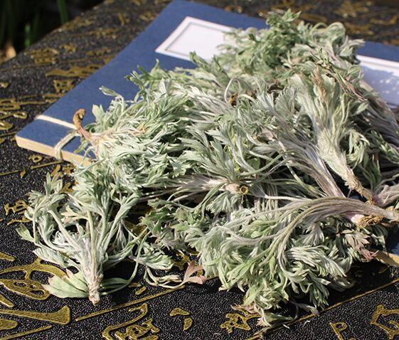 Quality Capillary Wormwood Herb oriental wormwood capillary Artemisia capillaris Thunb whole plant Yin Chen Hao for sale