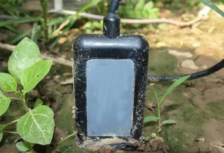 High Accuracy Soil Temperature Humidity Sensor DC12V 24V Output for Salinity Measurement