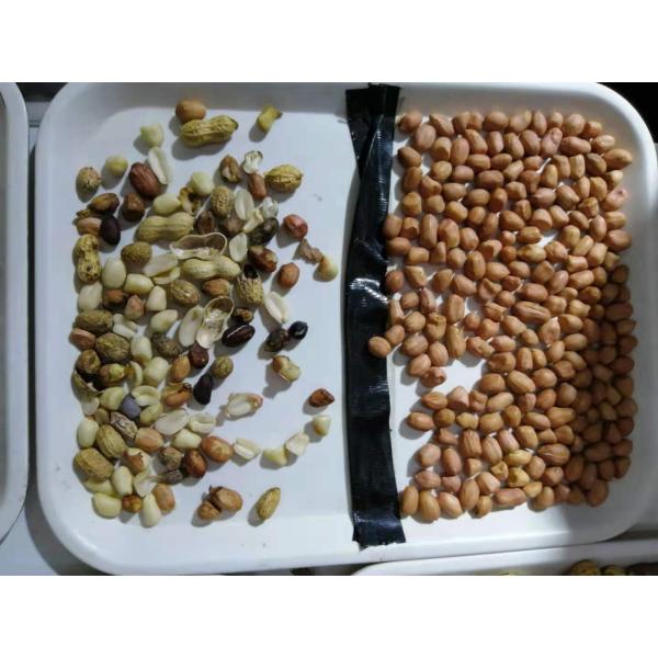 2023 New Design CCD Nuts Color Sorter Walnut Cashew Coconut Color Separation Machine