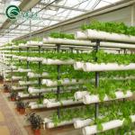 China PE Vertical Hydroponic Nft Pipe Systems for Greenhouse Agriculture Water Distribution for sale