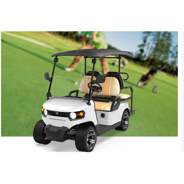 Customized off-Road Lead acid Battery Hunting Buggy Best Electric Golf Cart
