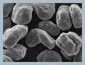 Wholesale BPP Spherical Graphite Anode Material For Lithium Battery from china suppliers