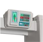 Real Time Query Walk Through Metal Detector , 400 Sensitivity Security Check