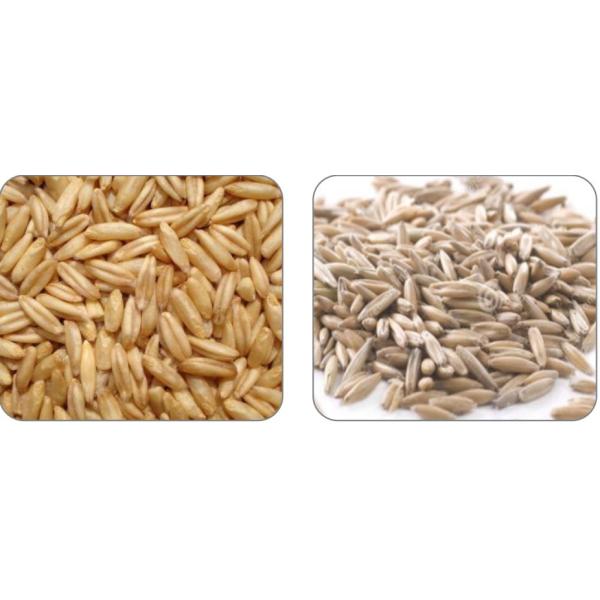 1 Chute Oat Color Sorter Precise Target Positioning 0.8-1.2 T/H