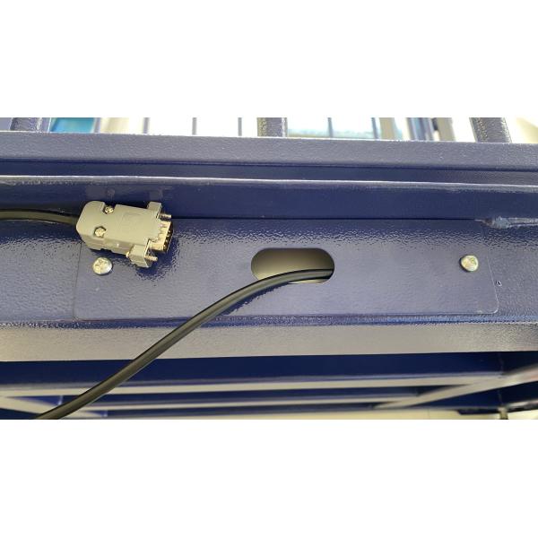 Customized Color Livestock Weighing Scales for Farm Electronic Floor Animal Scale 300kg Capacity