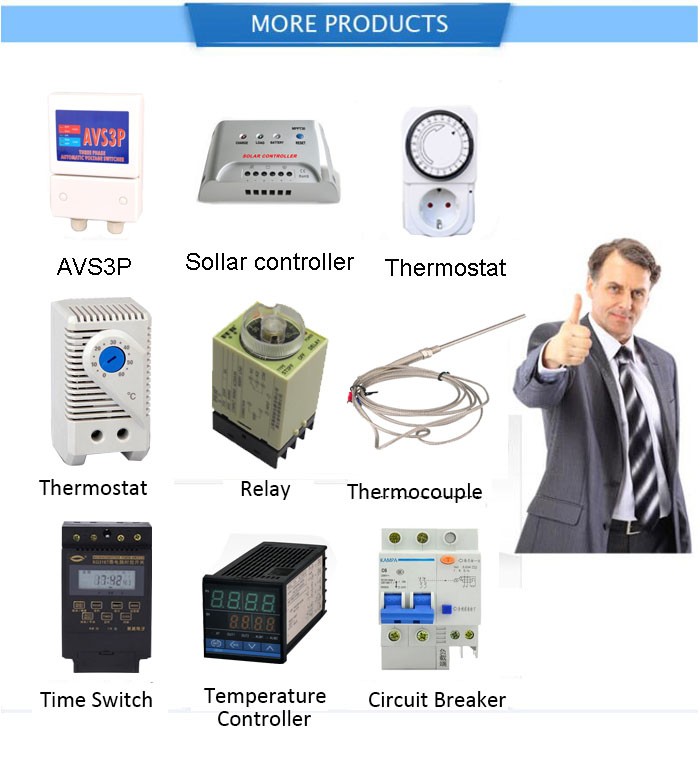 48*48mm RKC Digital Temperature Controller Thermostat K/J/E/S/R/PT100 Input, Relay Output for Egg Incubator