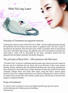 China mini nd yag laser tattoo removal laser q switched nd yag laser on sale