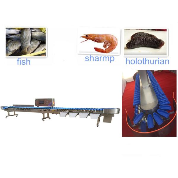 LCD Shrimp Seafood Seacucumber Weight Sorting Machine