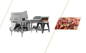 Wholesale High Speed High Yield Pepper Crawler Sorting Robot 0.5 - 1T/H from china suppliers