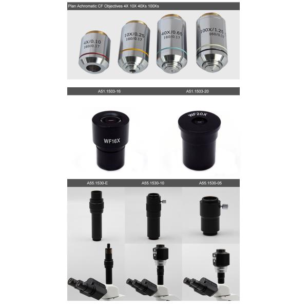 Teaching OPTO-EDU A11.1531 40X Compound Light Microscope