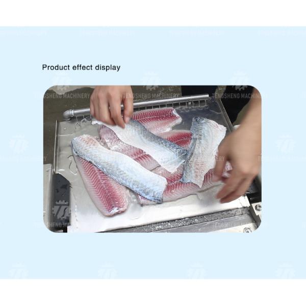 30pcs/min Fish Processing Machine Squid Cuttlefish Skin Peeler