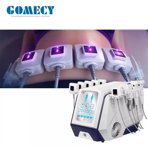 Quality True Sculpting ID Fat burning body slimming machine 10 Handles Hot  Fat dissolving Machine for sale