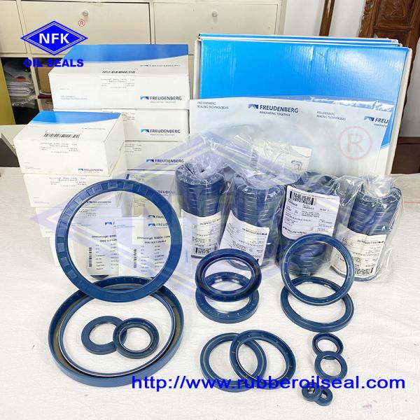 CFW High Pressure Rotary Shaft Seals Rubber BABSL Oil Seal Collection Of Sizes Made in Germany