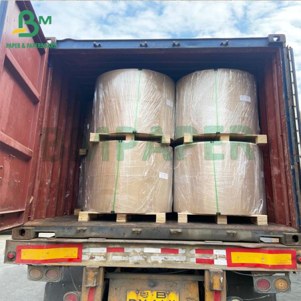 180gsm + 18gsm Single Side PE Coated White Cup Paper Bowls Paper