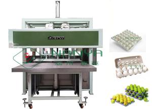 China Auto Reciprocating Egg Tray / Pulp Molding Egg Carton Machine 1000pcs/H on sale