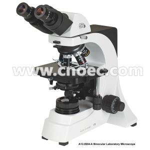 China Color Corrected Phase Contrast Microscopes Student Fluorescent Microscope CE A12.0904 on sale