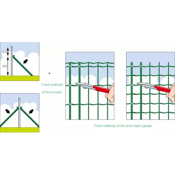 Galvanized steel wire and PVC coated Euro fence