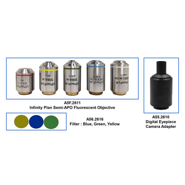 Fluorescence Microscope