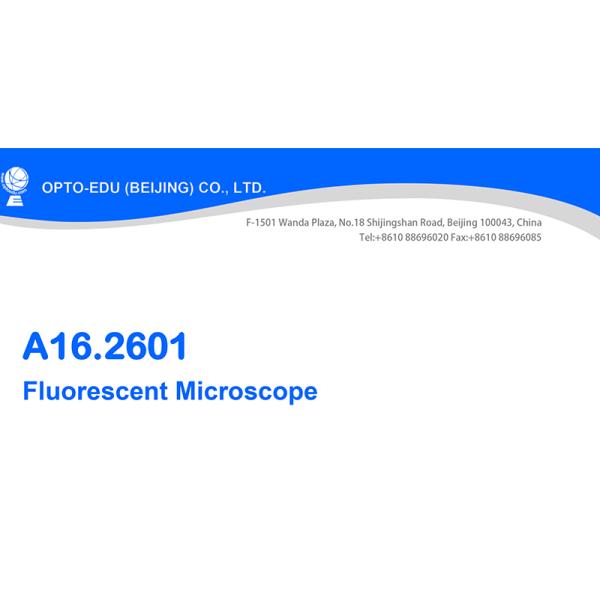 Fluorescence Microscope