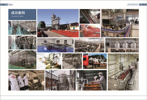 Quality SS304 Complete Tomato Processing Line 1500T/D Easy Operation for sale