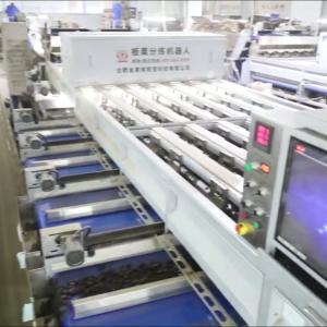 Wholesale High Capacity 8 lanes+8 outlets Chestnut Sorting Machine: Bulk Processing, Enhanced Productivity from china suppliers