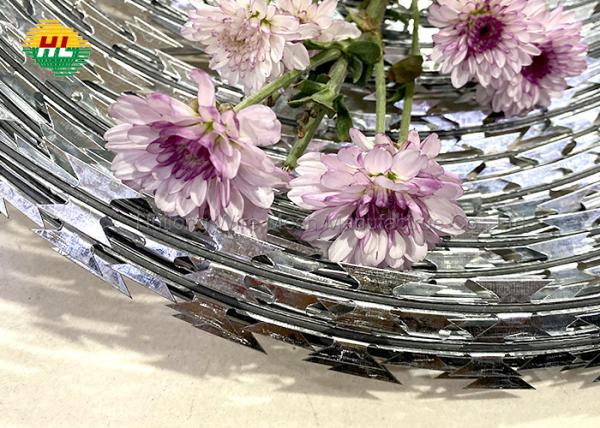 Quality Razor Barbed Wire Galvanized Single Strand Barbed Wire Anti-Theft Security Wire for sale