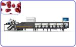 380V 8.5KW Dates Sorting Machine 16 Lanes AI Optical Grading Machine