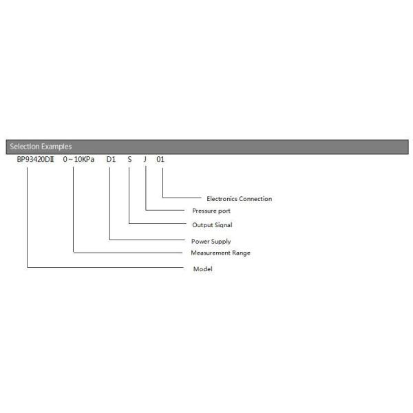 Baoji Hengtong Ht Series Bp93420dii Differential Pressure Transmitter with RS485