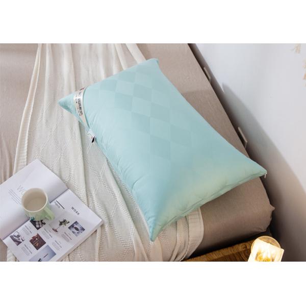 Mite Proof BSCI Cotton Down Pillows