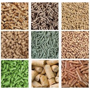 Big Capacity Poultry Pellet Making Machine Rabbit Chicken 5mm