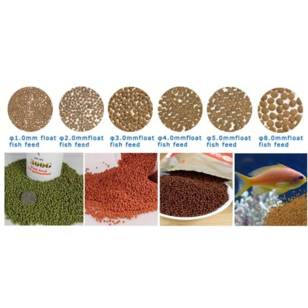 Automatic Fish Feed Processing Machinery With SGS Certification