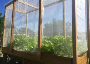Wholesale Garden Insect Mesh Netting 20 Mesh Count Polyethylene Agricultural Netting from china suppliers