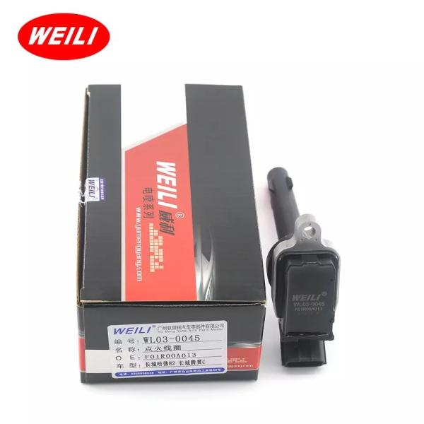 F01R00A013 Car Ignition Coil For Great Wall Hover H2 Tengyi C30 F01R-00A-013