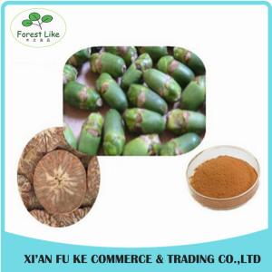 China Best Selling Product Free Sample No Additives High Ratio Promote Decrease of Blood  Effect  Areca Nut Extract on sale