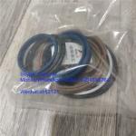China SDLG sealing kit , 4120004767010,  grader spare parts for grader SDLG G9165/ G9180 /G9190 /G9200/ G9220 for sale