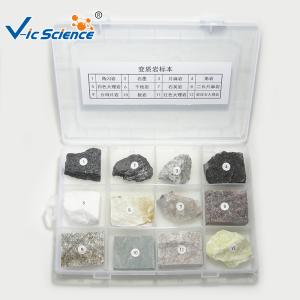 Wholesale Professional Mineral And Rock Specimens Metamorphic Rock Samples from china suppliers