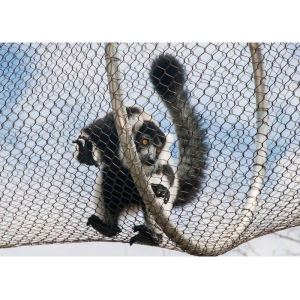 304L Animal Enclosure Mesh , Knotted Rope Mesh Wire Mesh SGS / CE