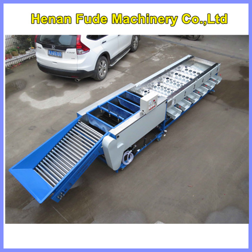 mango sorting machine, mango grading machine