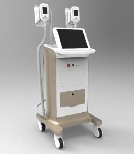 Wholesale Strongest cooling system 24 hours nonstop working Cryolipolysis Cryotherapy Slimming from china suppliers