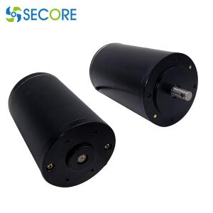 China Custom 90mm High Voltage DC Motor Garbage Disposer High Torque Brushed DC Motor 110V on sale