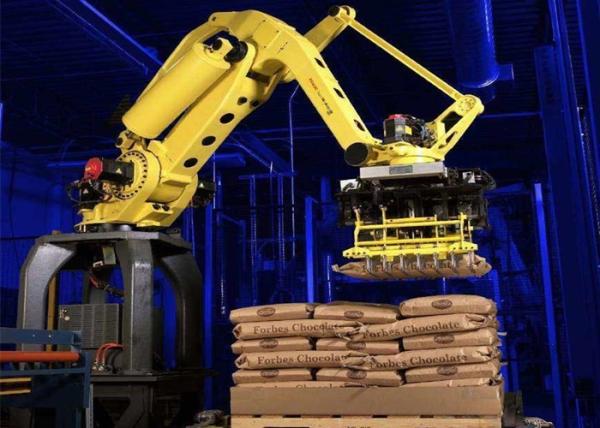 Quality PLC Control Automatic Palletizer Machine Robotic Bag Palletizer Floor Mounting for sale