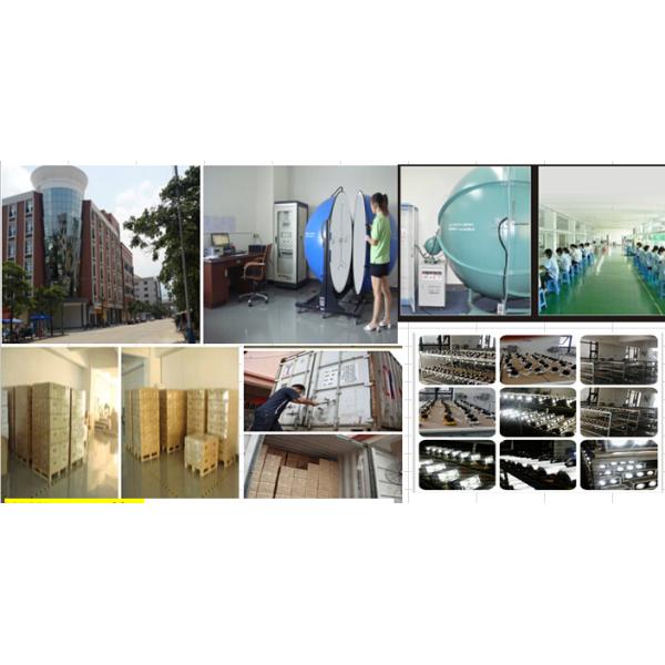 Decorative Heat Sink LED Octopus Downlight