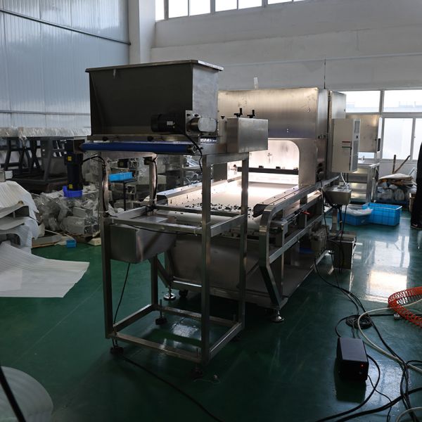Customized 220V 50 Hz Color Sorter Machine