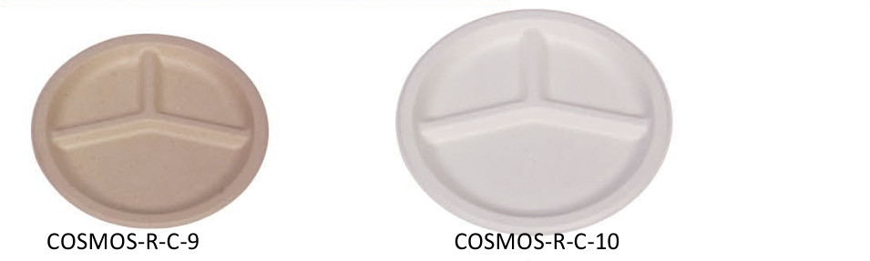 Snack Fast Food Container Biodegradable Sugarcane Bagasse Plates Dinnerware