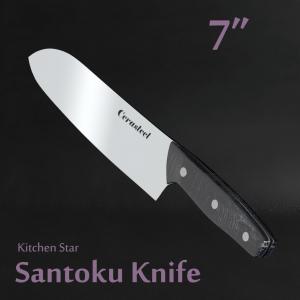 Wholesale Wear Resistance Santoku Knife Kitchen / Cerasteel Chef Utility Knife from china suppliers