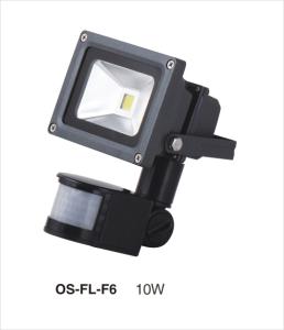 motion sensor light