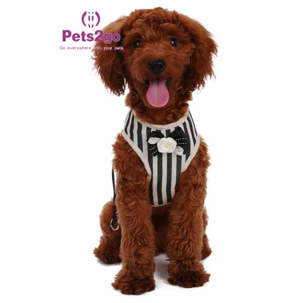 Remote Dog Martingale Remote Control Lcd Training Collar Gentle Lead